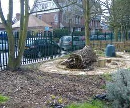 School Grounds.jpg